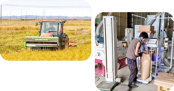 安心の「ちばエコ農産物」認証